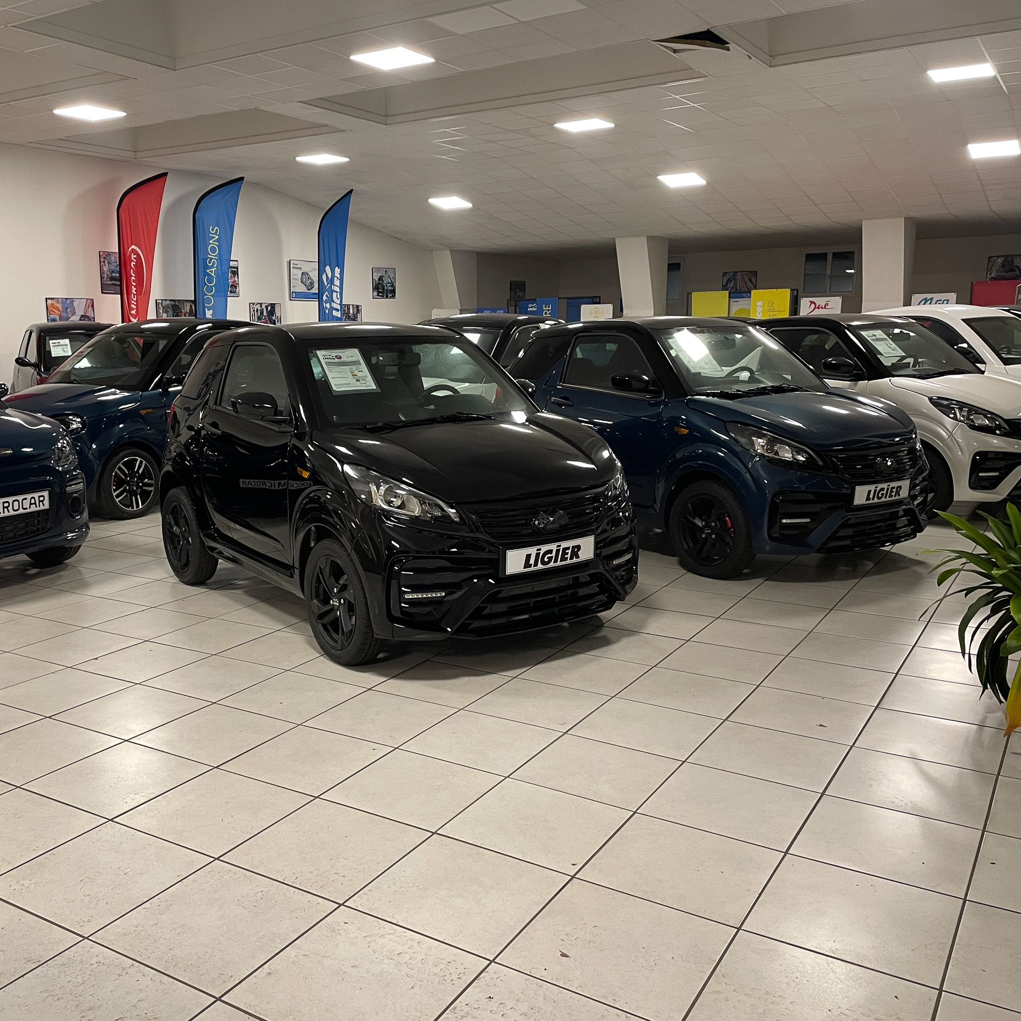 Showroom de voiture sans permis chez Brest Auto Diffusion