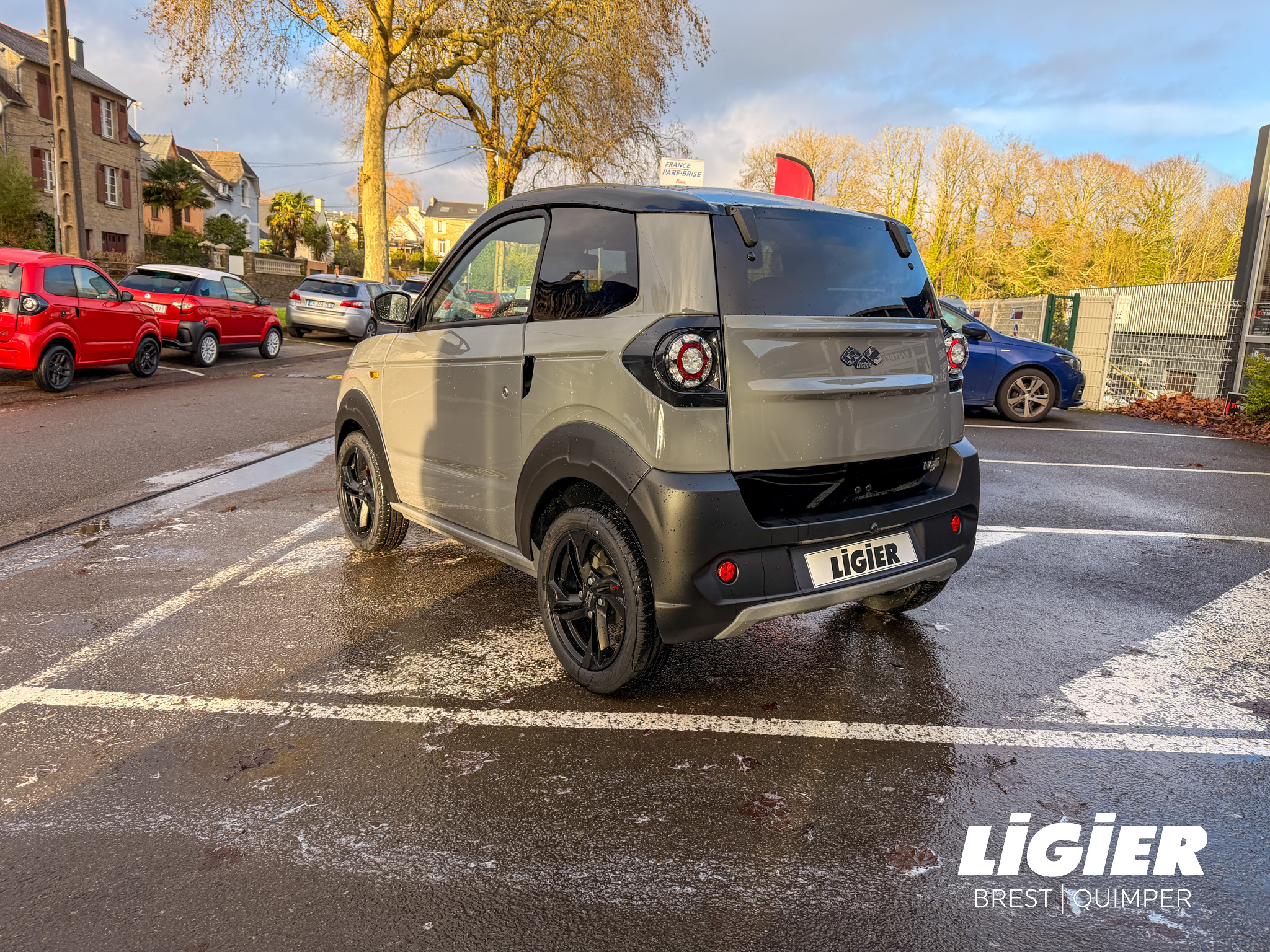 LIGIER MYLI REBEL REVO D+ – DIRECTION ASSISTEE