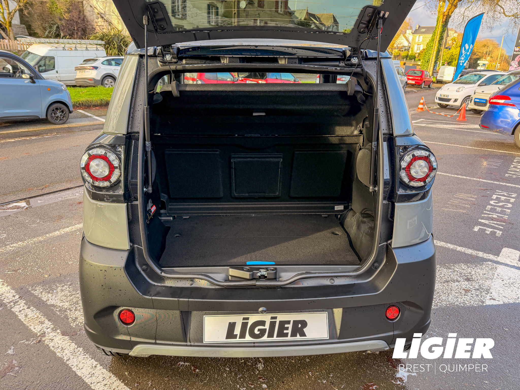 LIGIER MYLI REBEL REVO D+ – DIRECTION ASSISTEE